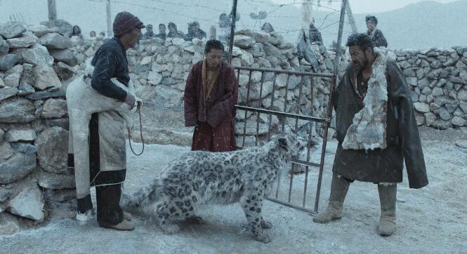 中国电影《雪豹》《老枪》在东京电影节上获奖喜讯传来